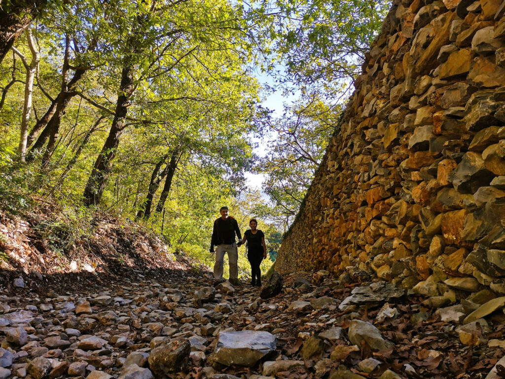 Lyliaventuras_gringo