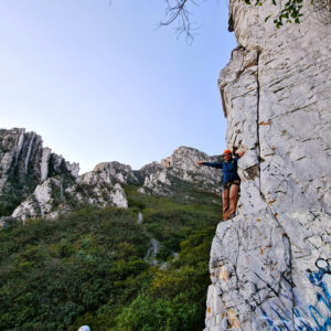 Lyliaventuras_nido