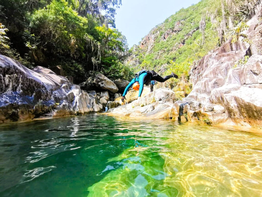 Matacanes_lyliaventuras