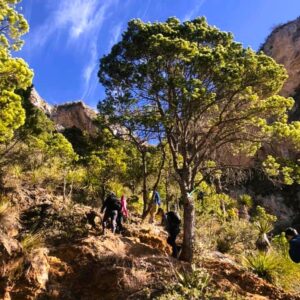 Turismo Nuevo León