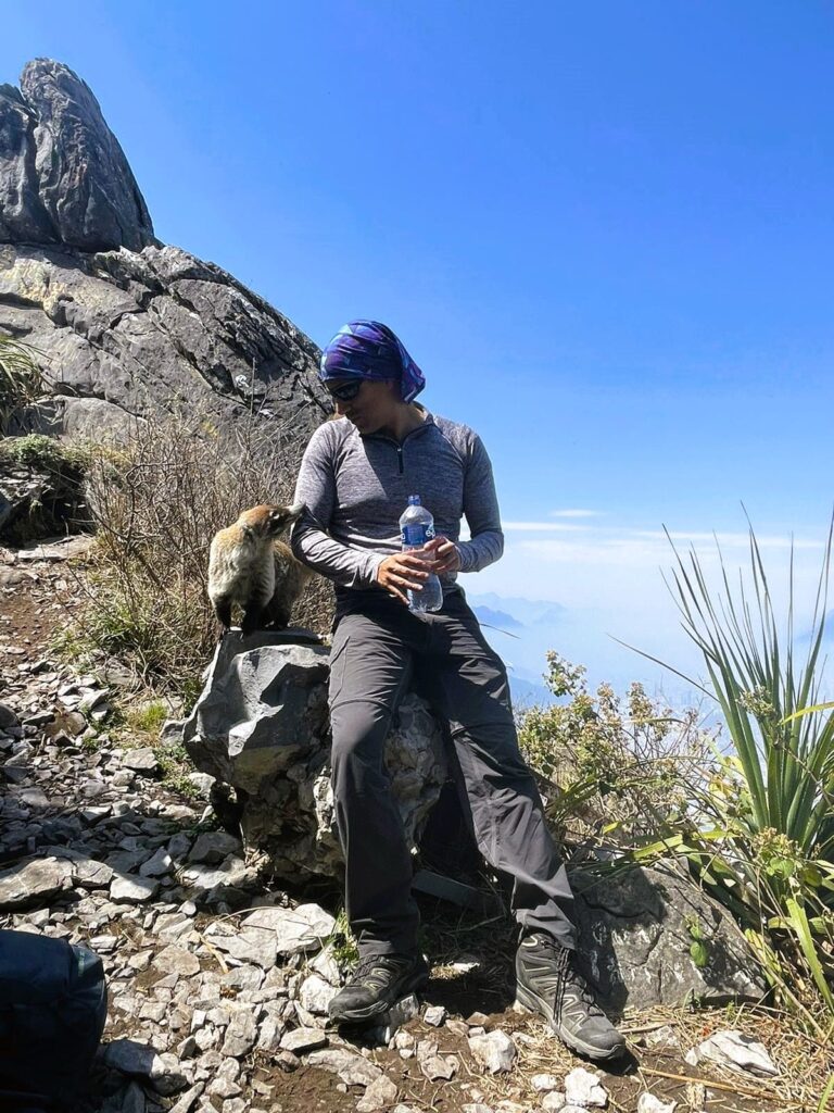 Entrenamiento de resistencia (10 horas)